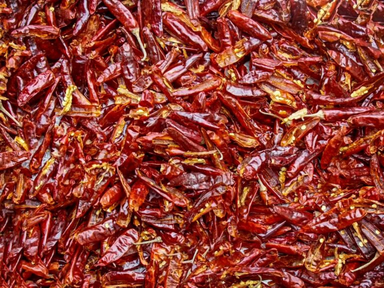 Penne all'Arrabbiata – pikantny makaron na szybki obiad